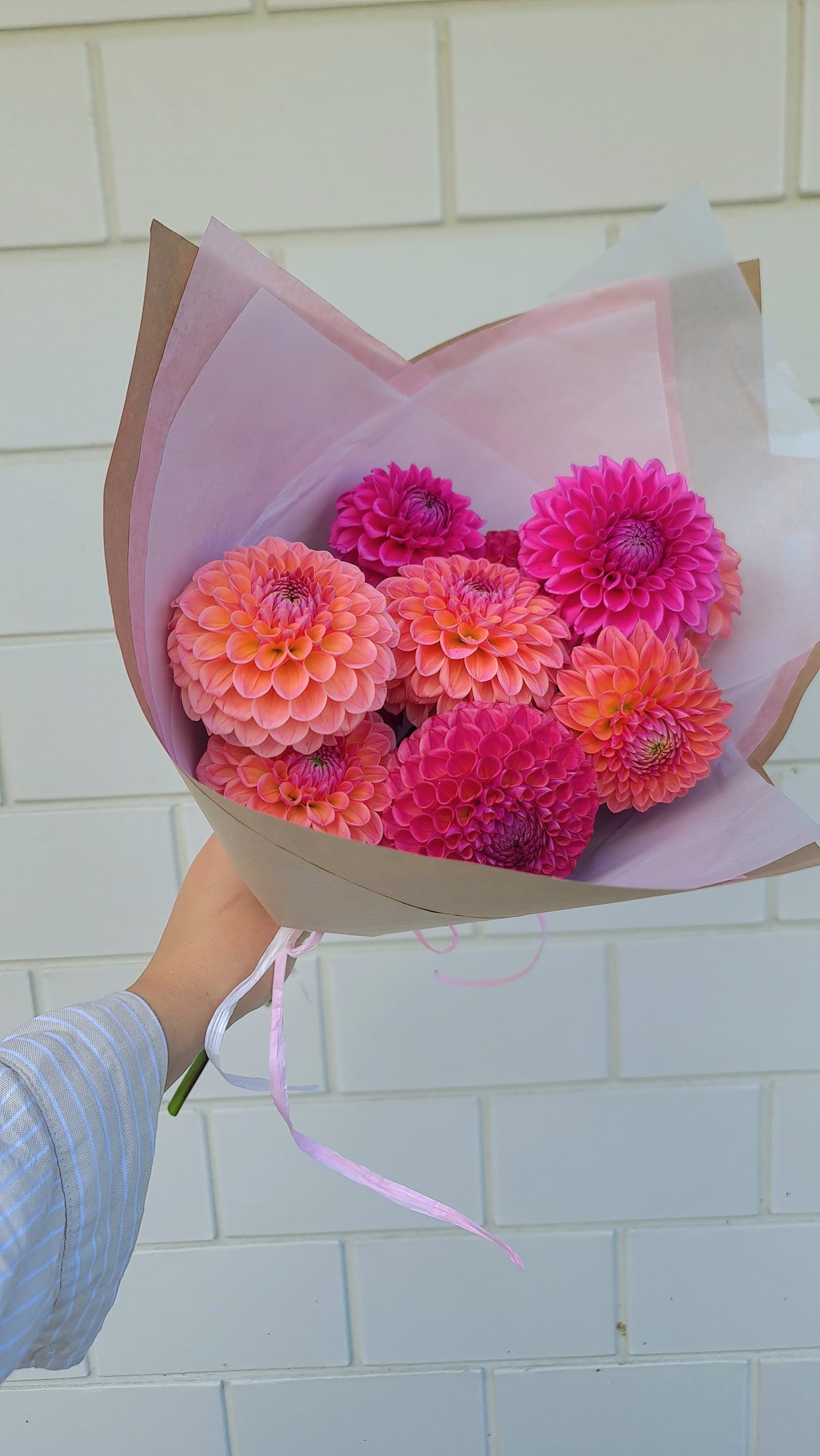 Dahlia: Lindas Baby/Nathalie G (Lucky Dip)