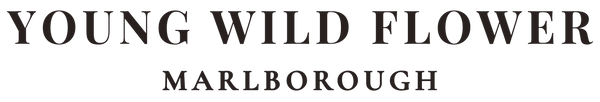 Young Wild Flower