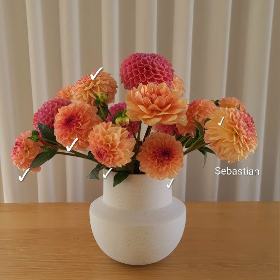 Dahlia: Sebastian